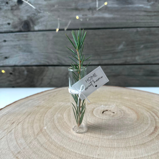 Reagenzglas 7,5cm hoch 10 Stück