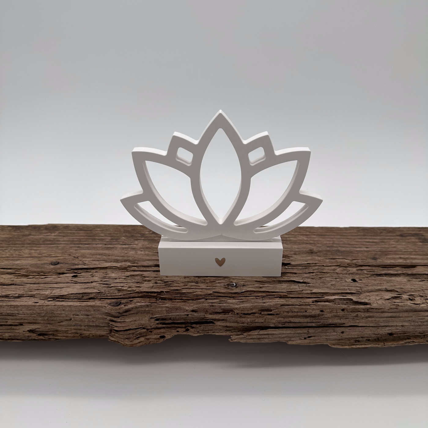 Einschieber Lotus kurz