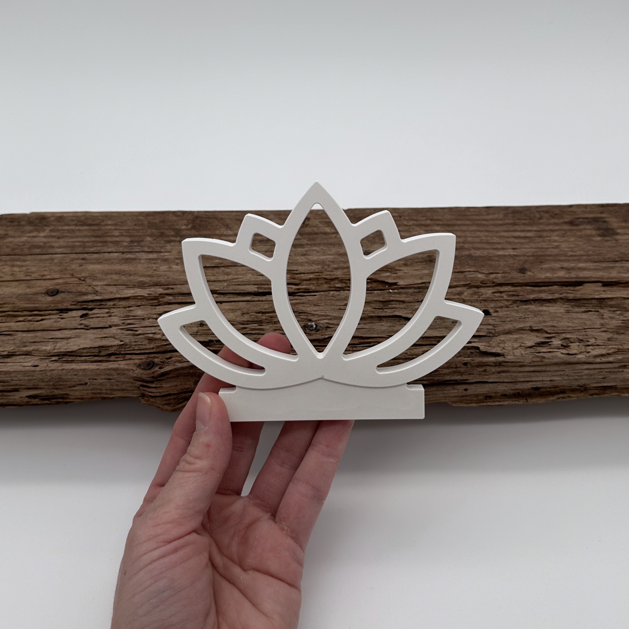 Einschieber Lotus kurz